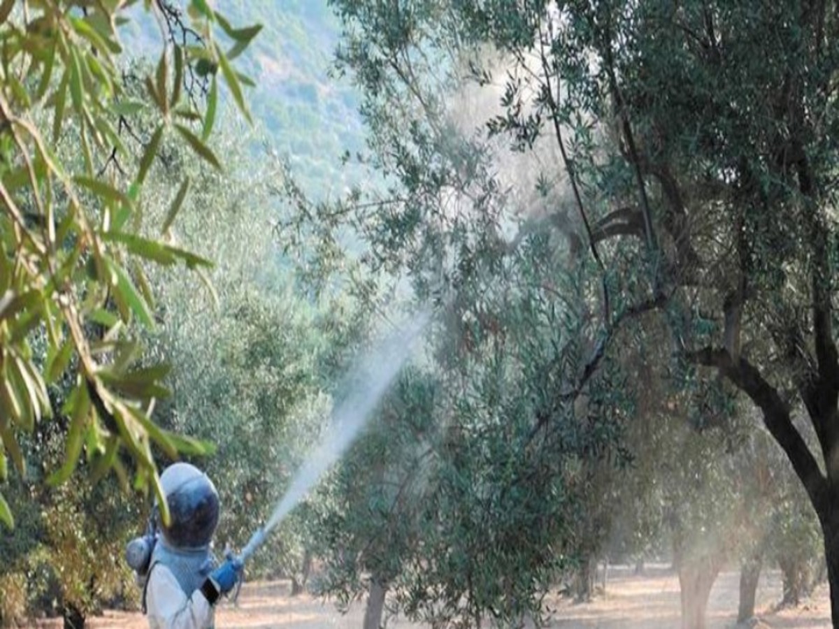 Χαλκούχος Ψεκασμός: Γιατί Είναι Απαραίτητος για Υγιή Οπωροφόρα Δέντρα