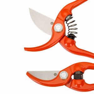 20230413125920_ae71bc49_1080x1080