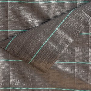 BPN1300_2