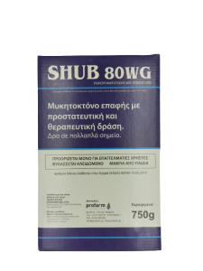 shub-removebg-preview
